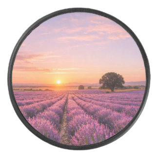 Disco De Hockey Blooming Lavender Field at Golden Sunset Provence