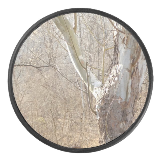 Disco De Hockey bosque de invierno (Anverso)