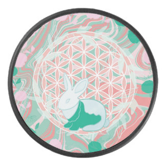 Disco De Hockey Bunny