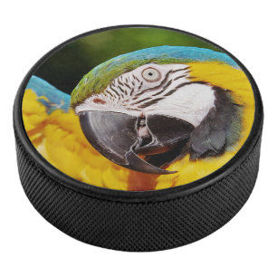 Disco De Hockey Cabeza de un macao azul y amarillo
