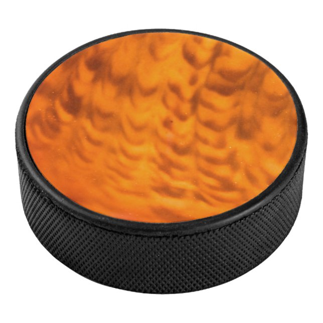 Disco De Hockey Capa de agua de mar (3/4)