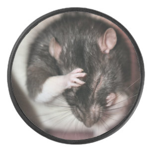 Disco De Hockey Cefalea