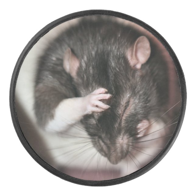 Disco De Hockey Cefalea (Anverso)