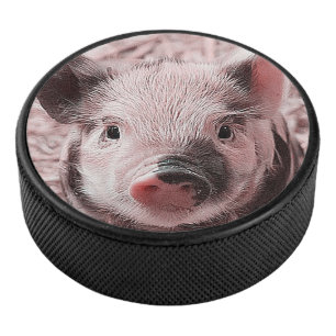 Disco De Hockey cochinillo dulce