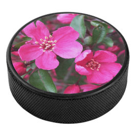 Disco De Hockey Crabapple de floración rosa
