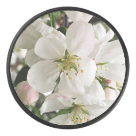 Disco De Hockey Crabapple floreciente