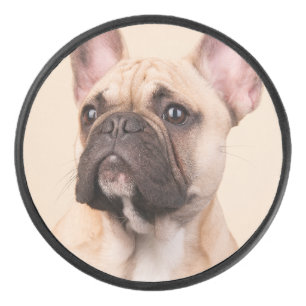 Disco De Hockey Crea tu propia foto personalizada de tu mascota