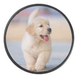 Disco De Hockey Crea tu propia mascota personalizada