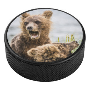 Disco De Hockey Cubos Grizzly Buscando Su Mamá