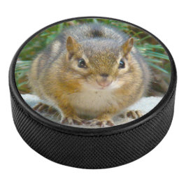 Disco De Hockey Cute Chipmunk Tiene La Vista En Ti