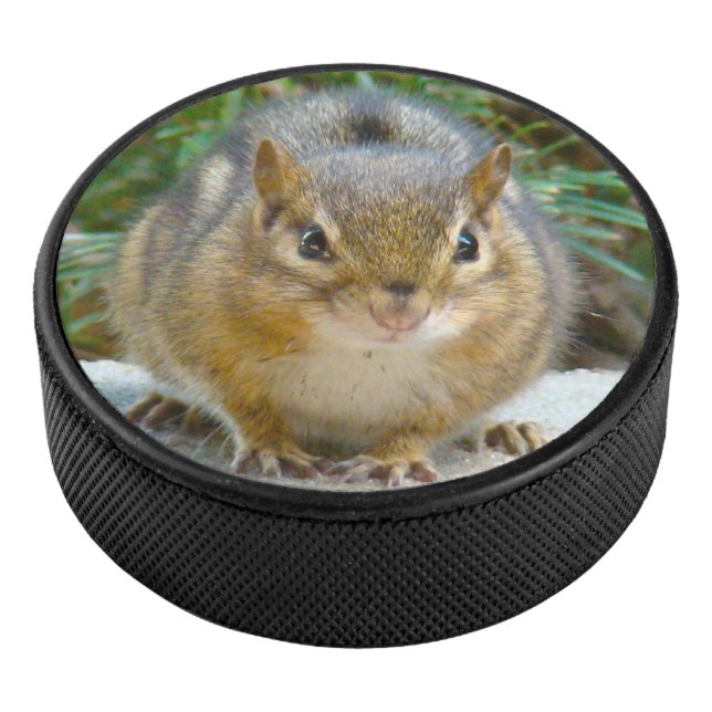 Disco De Hockey Cute Chipmunk Tiene La Vista En Ti (3/4)