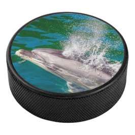 Disco De Hockey Delfín En Milford Sound, Nueva Zelanda