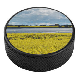 Disco De Hockey Dramática belleza de Streatham