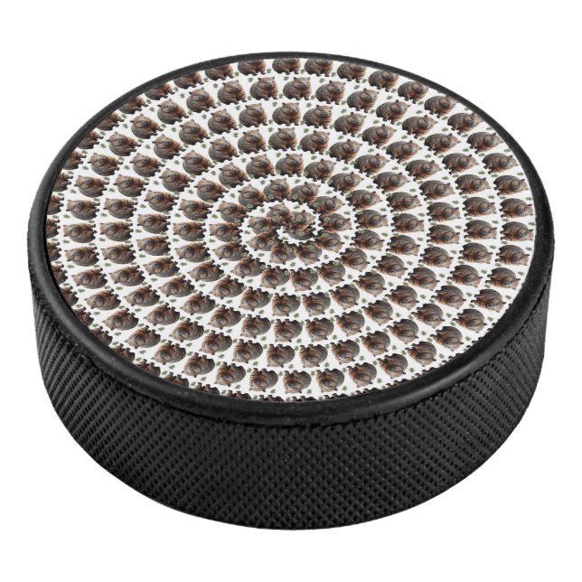 Disco De Hockey El Camino de Wombat: una espiral de maravillas, (3/4)