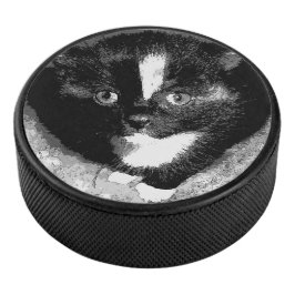 Disco De Hockey El observador silencioso