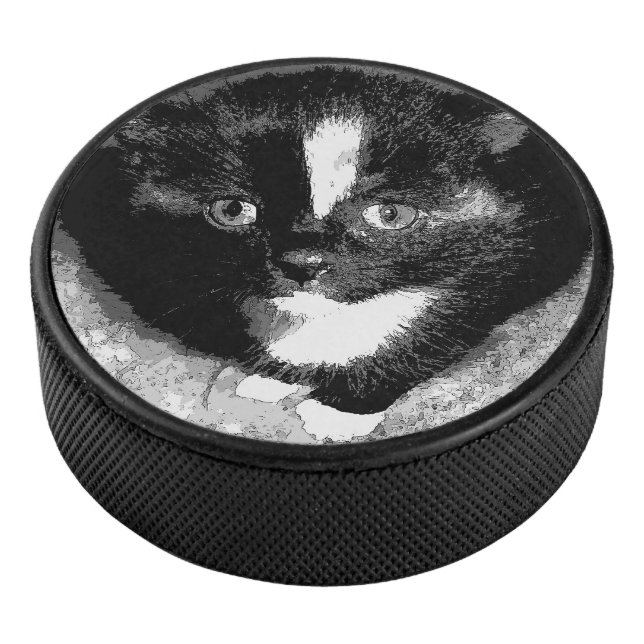 Disco De Hockey El observador silencioso (3/4)