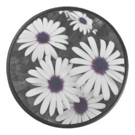 Disco De Hockey El sutil contraste de la naturaleza