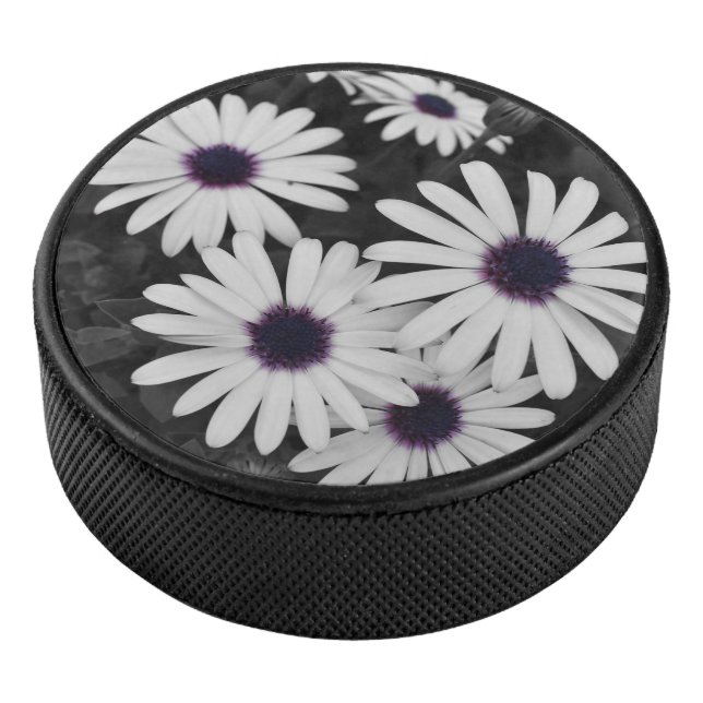 Disco De Hockey El sutil contraste de la naturaleza (3/4)