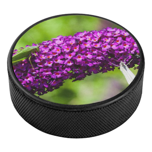 Disco De Hockey energía katydid (3/4)