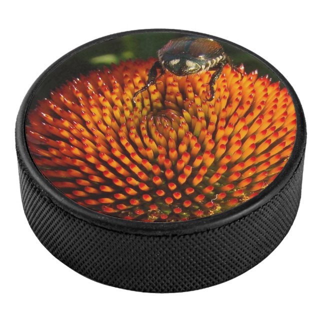 Disco De Hockey Error en la flor (3/4)