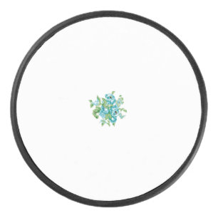 Disco De Hockey Estilo Decorativo, Mint Cream, Azul Fuente, Verde 