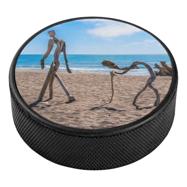 Disco De Hockey Evolución (3/4)