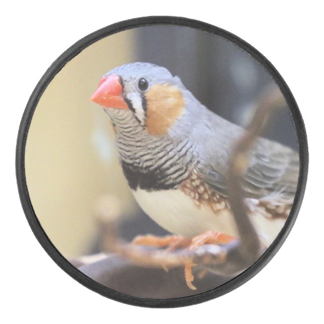 Disco De Hockey Finch (Anverso)