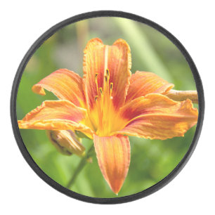 Disco De Hockey Foto de una flor de Lily grande