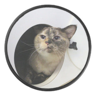Disco De Hockey Gato