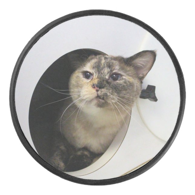 Disco De Hockey Gato (Anverso)