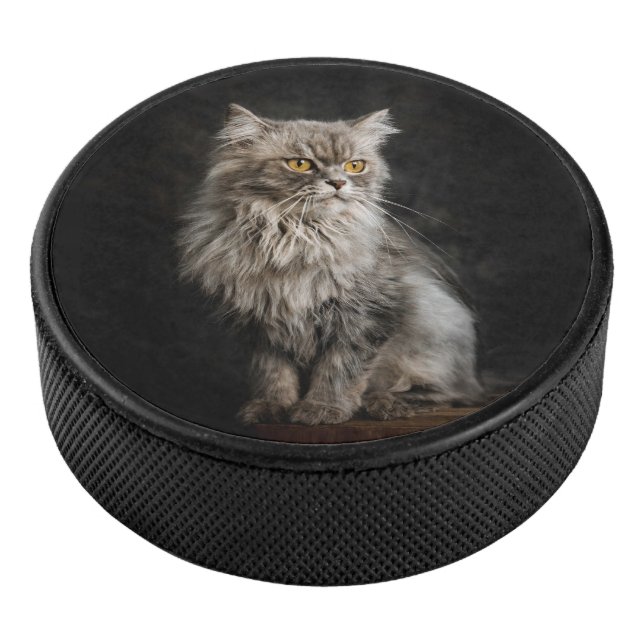Disco De Hockey Gato gris esponjoso  (3/4)