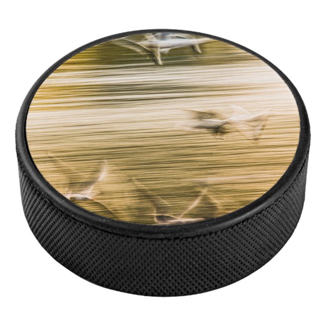 Disco De Hockey Gaviotas voladoras - abstractas (3/4)