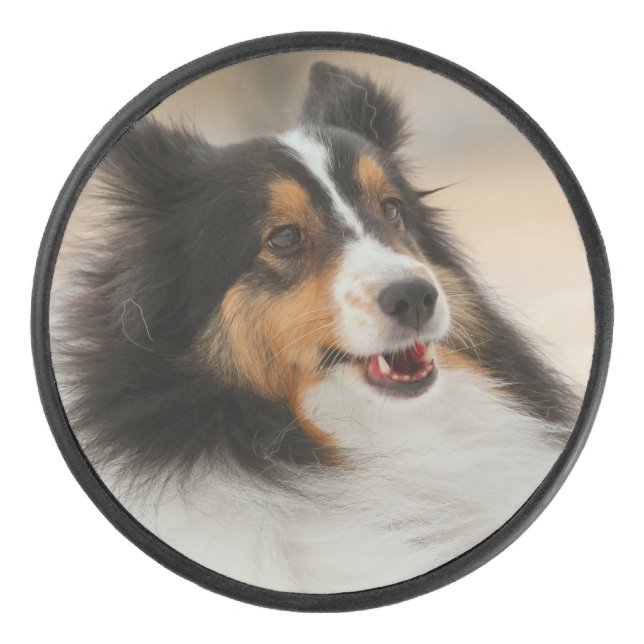 Disco De Hockey Happy Shelty (Anverso)