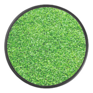 Disco De Hockey Hierba verde