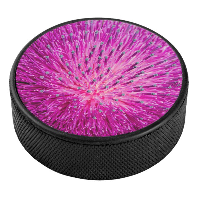 Disco De Hockey Leche con el cardo cerrado (3/4)