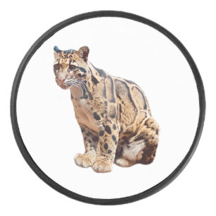 Disco De Hockey leopardo nublado fotografía selva gran gato animal