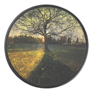 Disco De Hockey Luciérnagas mágicas paisaje de ensueño