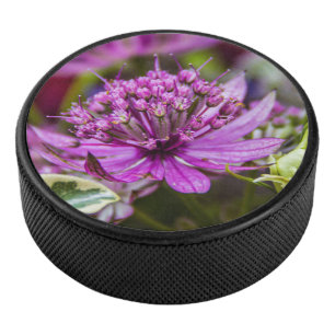 Disco De Hockey Magia exquisita de las flores #1
