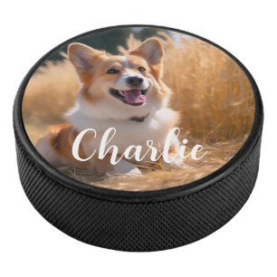 Disco De Hockey Mascota personalizado Foto