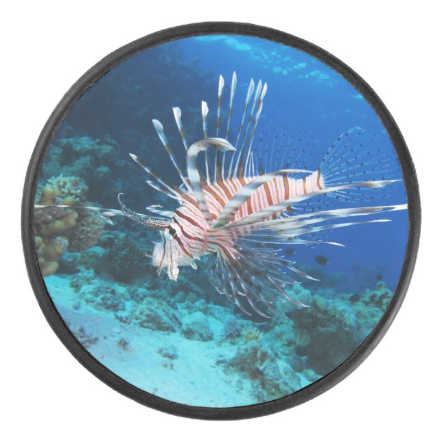 Disco De Hockey Millas de Lionfish o Pterois, peces de arrecifes o (Anverso)