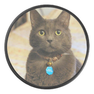 Disco De Hockey Mims