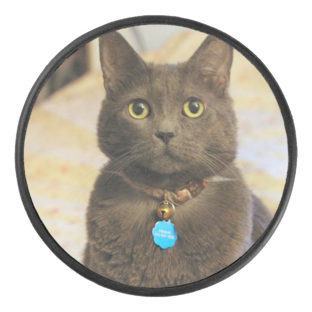 Disco De Hockey Mims (Anverso)