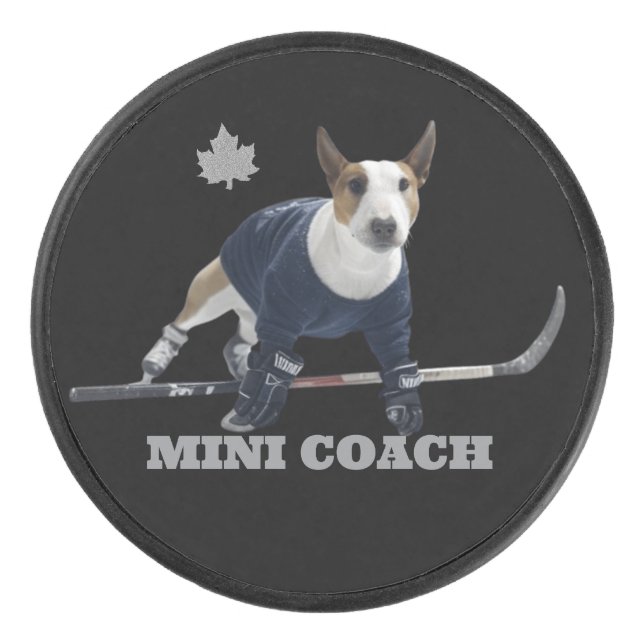DISCO DE HOCKEY MINI COACH (Anverso)