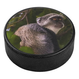 Disco De Hockey Mono azul, Zanzíbar