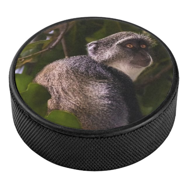 Disco De Hockey Mono azul, Zanzíbar (3/4)