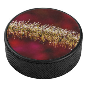 Disco De Hockey Morning Dew