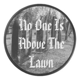 Disco De Hockey Nadie Está Sobre El Césped