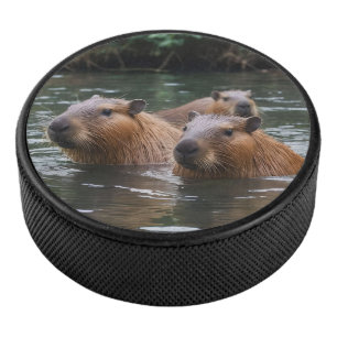 Disco De Hockey Natación De Capybaras En El Río,