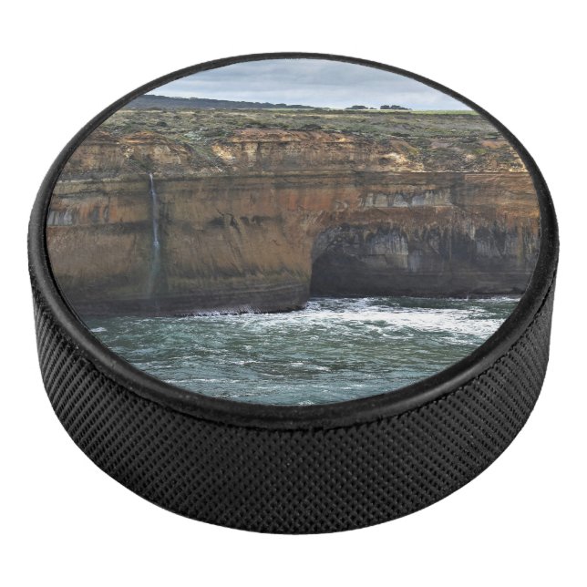 Disco De Hockey Ocean Carved Wonders (3/4)