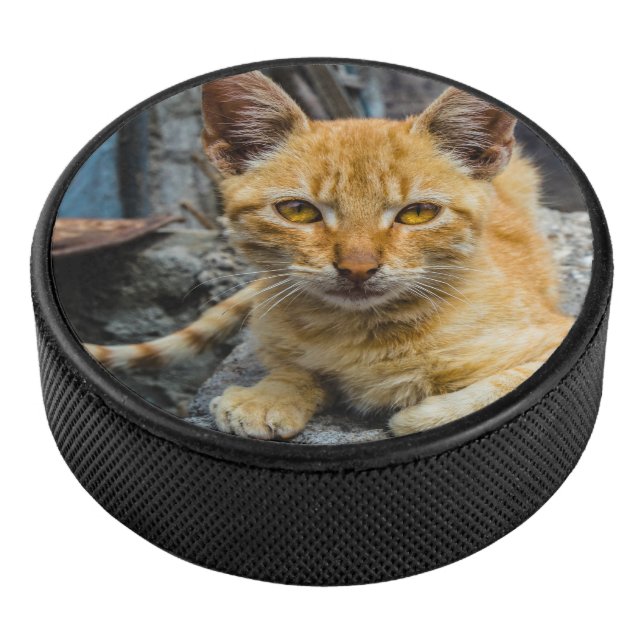 Disco De Hockey Ojos dorados (3/4)